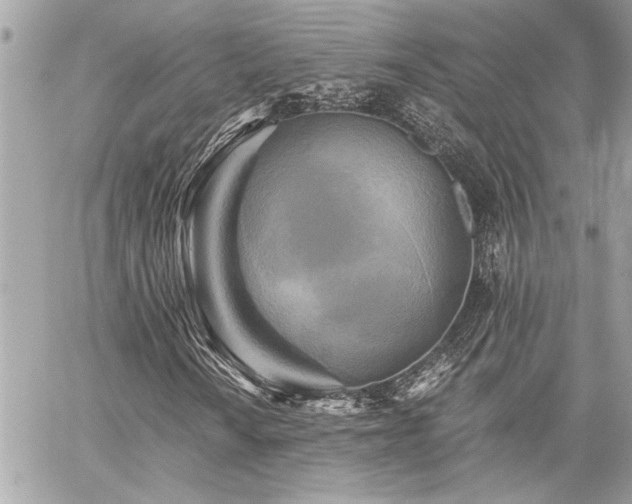 X0000059081010200510071106