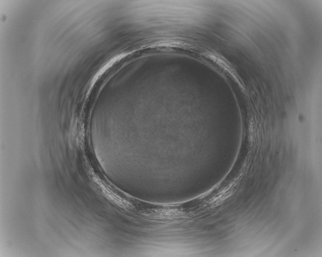 X0000059081024200510071106