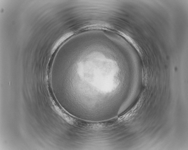 X0000059081042200510071106