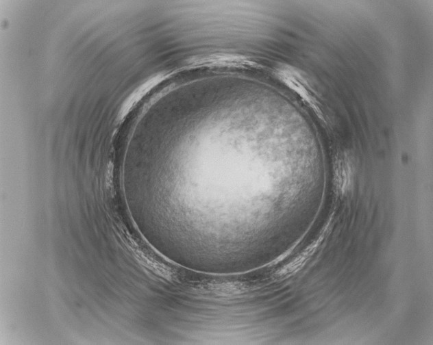 X0000059081066200510071106