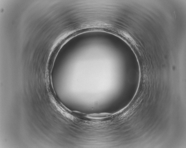 X0000059081072200510071106