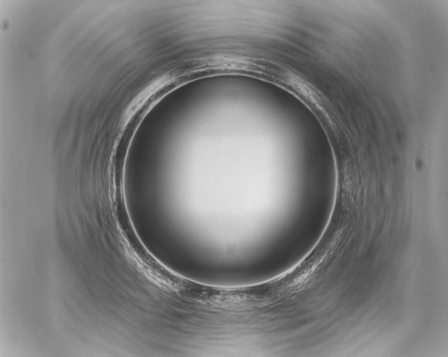 X0000059081082200510071105