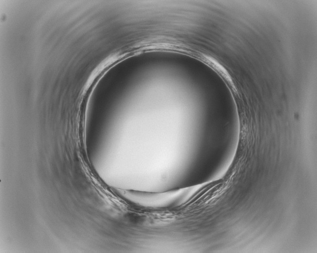 X0000059081146200510071105