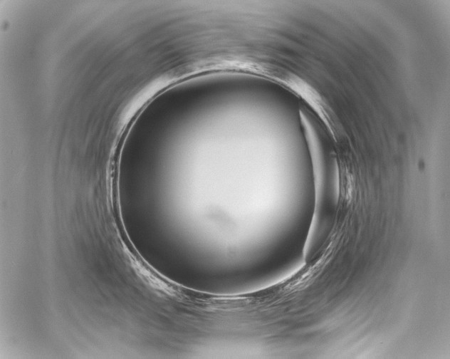 X0000059081151200510071105