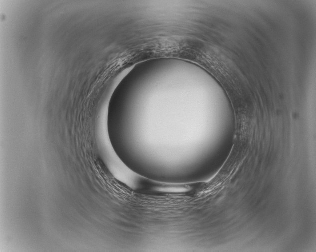 X0000059081153200510071104