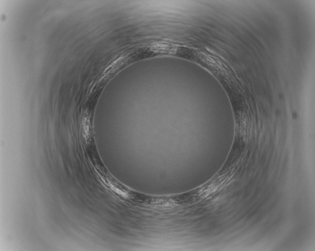 X0000059081154200510071104