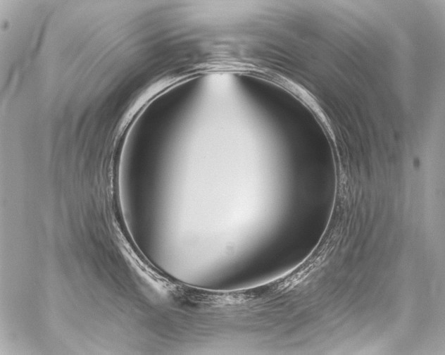 X0000059081195200510071103