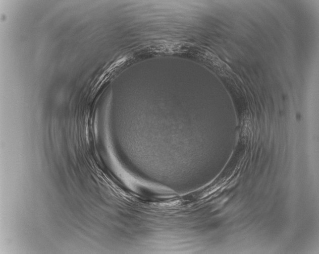 X0000059081202200510071103