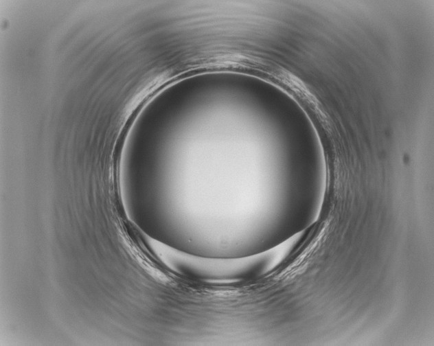 X0000059081234200510071103