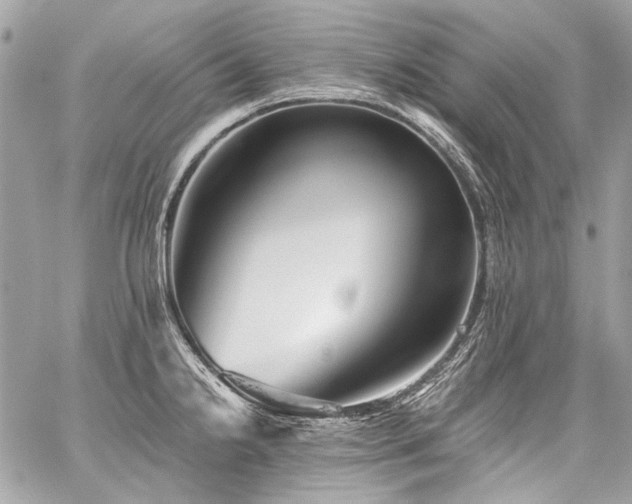 X0000059081238200510071103