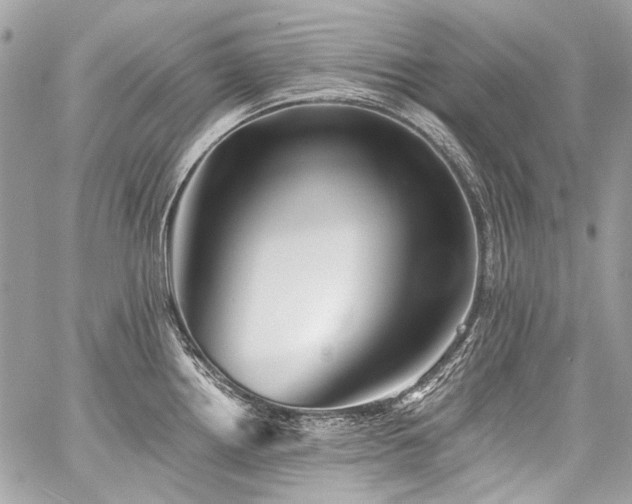 X0000059081242200510071103