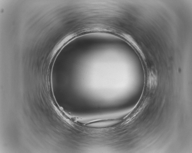 X0000059081293200510071102