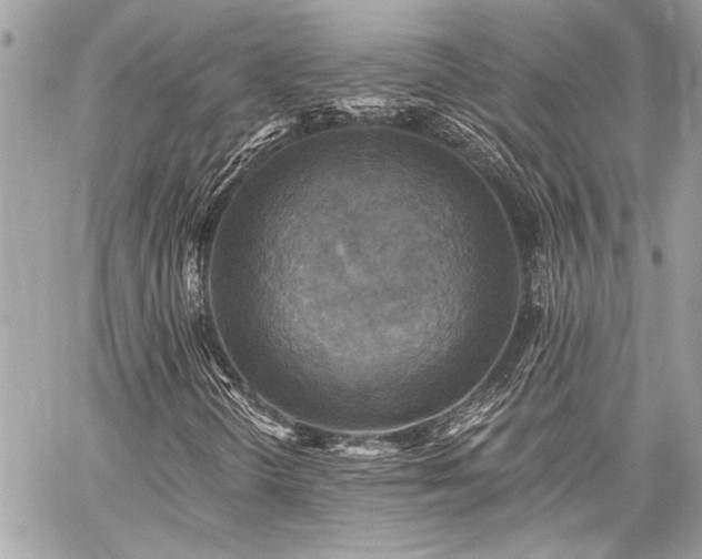 X0000059081298200510071101