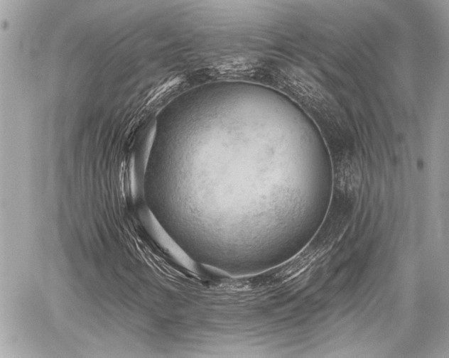 X0000059081346200510071101