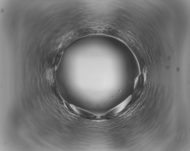 X0000059081347200510071101