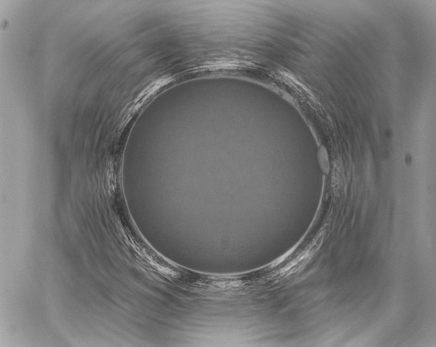 X0000059081353200510071101