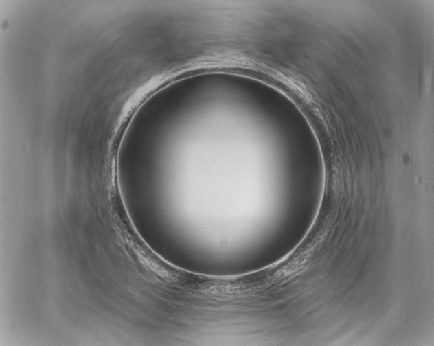 X0000059081366200510071100