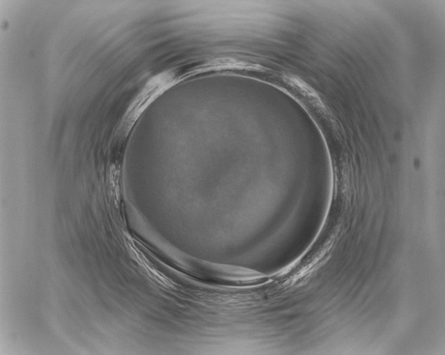 X0000059081369200510071100