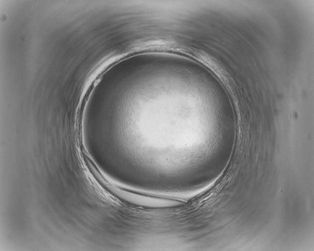 X0000059081392200510071100