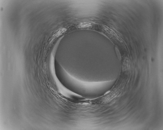X0000059081441200510071059