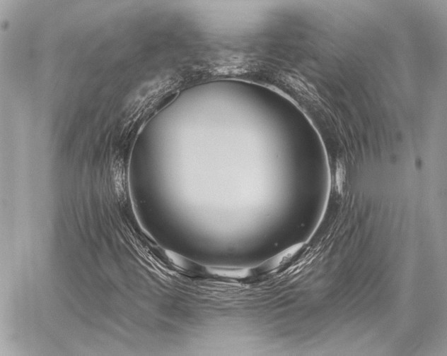 X0000059081444200510071059