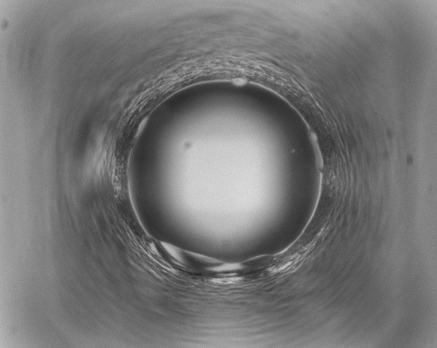 X0000059081490200510071058