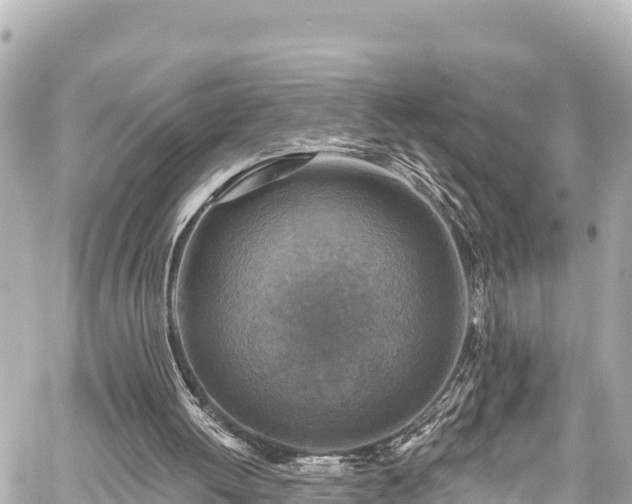 X0000059080052200510101153