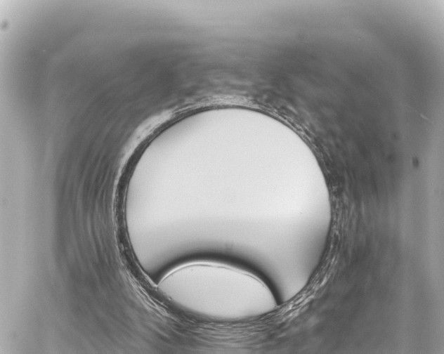 X0000059080104200510101153