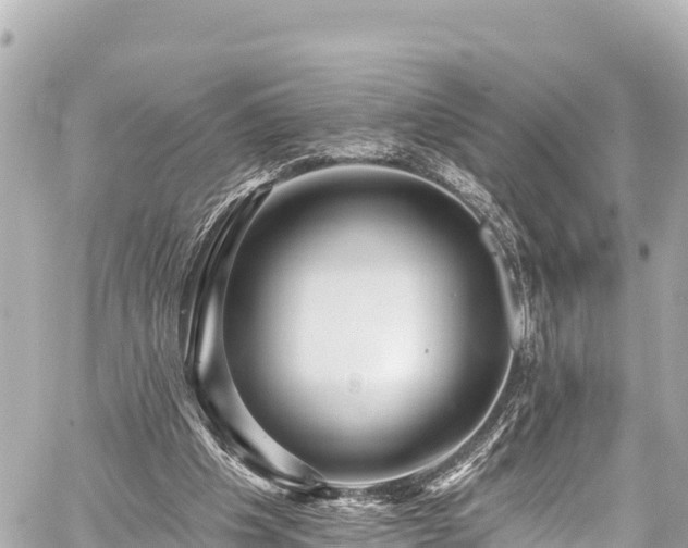 X0000059080201200510101151