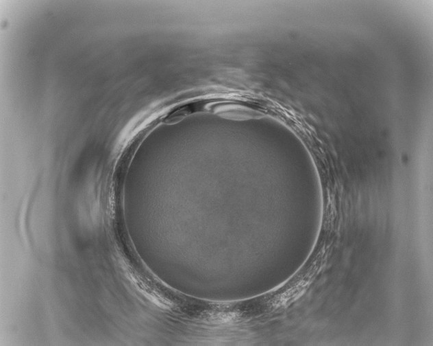 X0000059080247200510101150