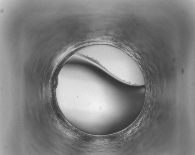 X0000059080248200510101150