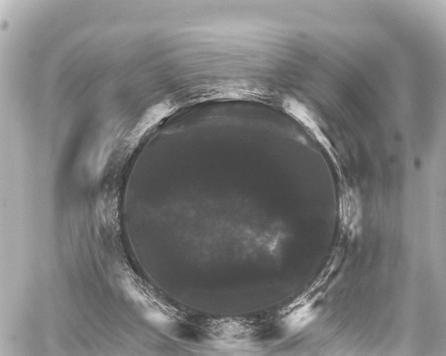 X0000059080249200510101150