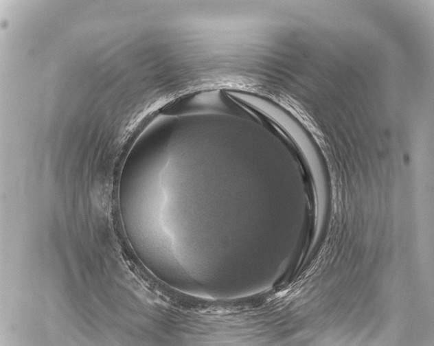 X0000059080434200510101146