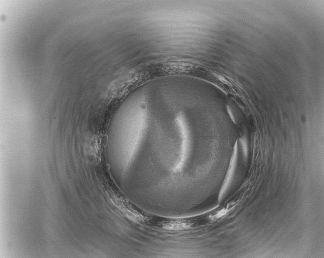 X0000059080759200510101142