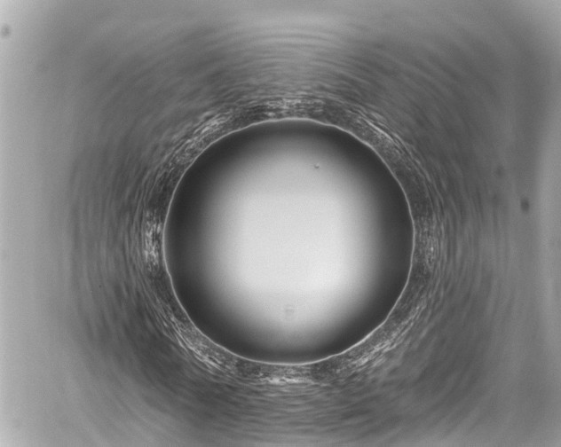 X0000059080770200510101141