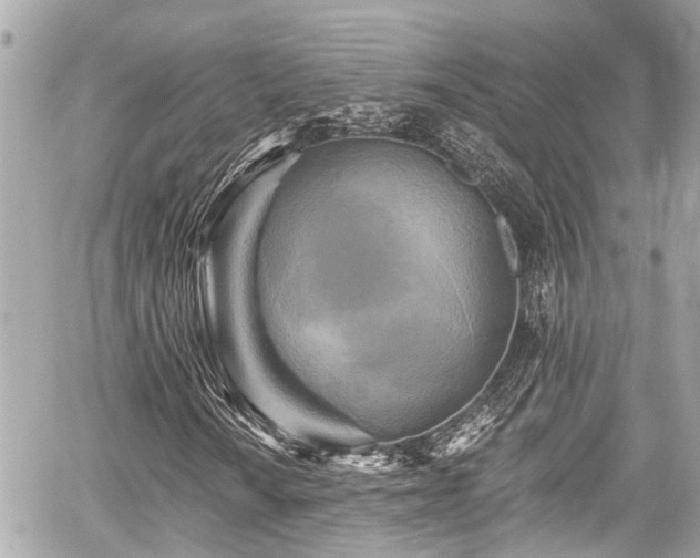 X0000059081010200510101137