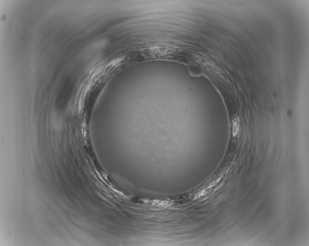 X0000059081011200510101137