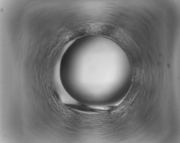 X0000059081153200510101135