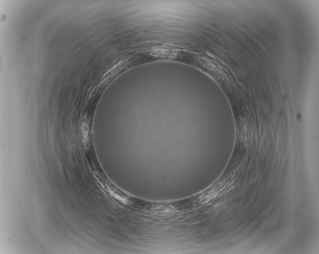 X0000059081154200510101135