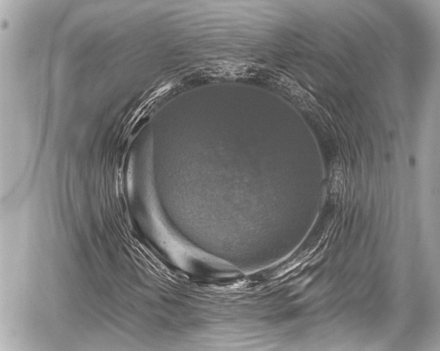 X0000059081202200510101133