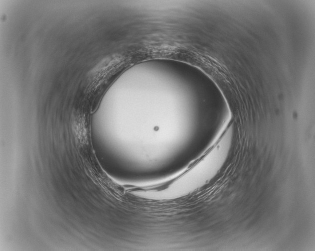X0000059081252200510101133
