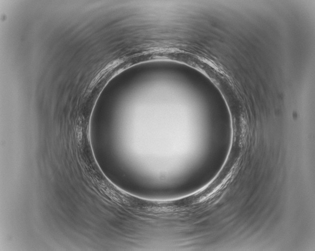 X0000059081257200510101133