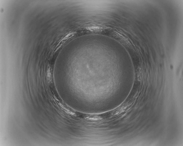 X0000059081298200510101132