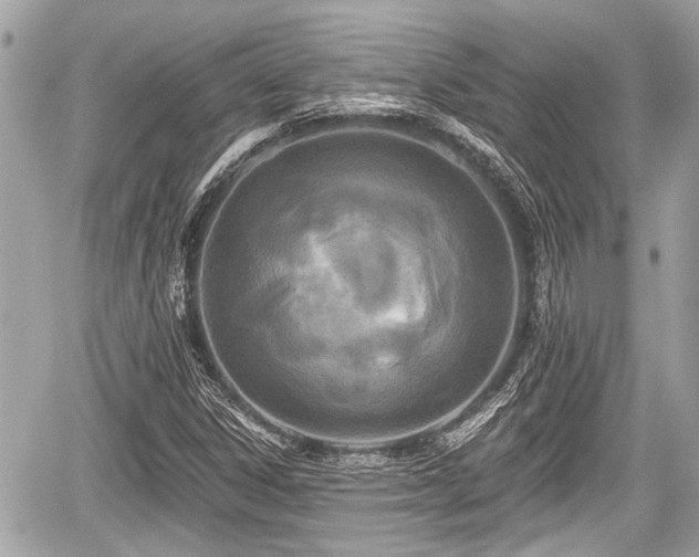 X0000059081306200510101132