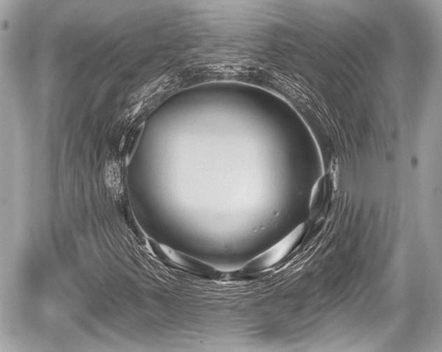 X0000059081347200510101132