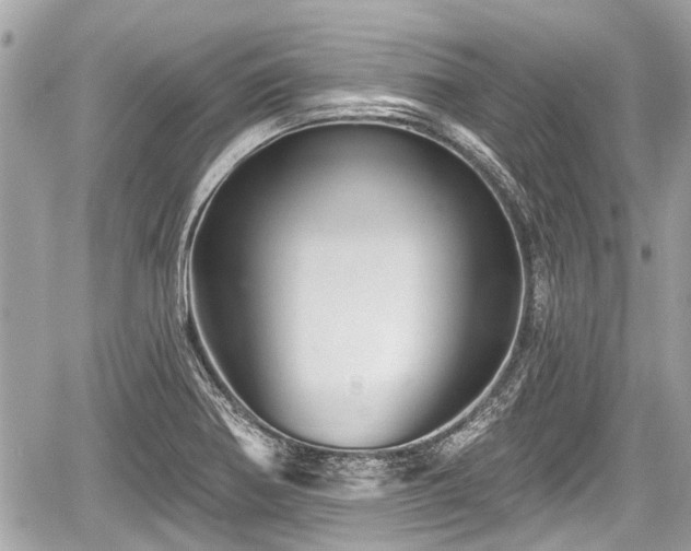 X0000059081370200510101131