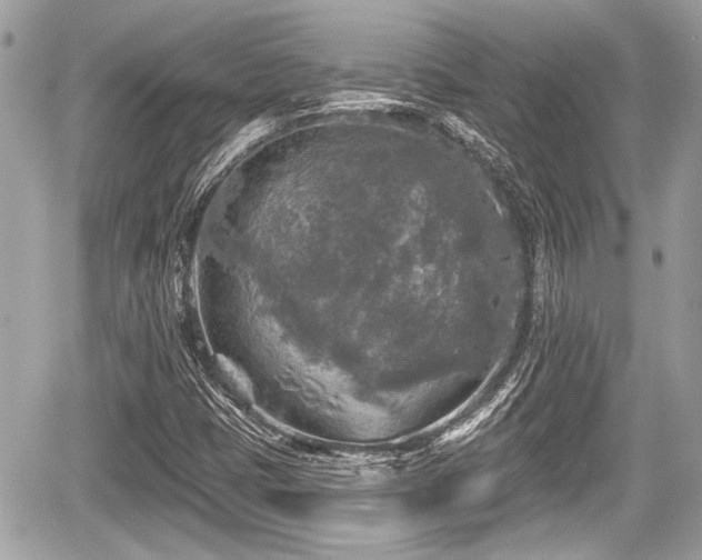 X0000059081401200510101130