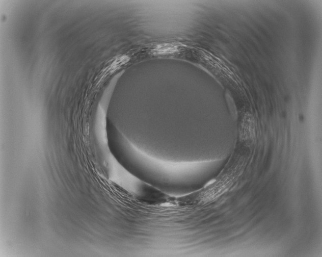 X0000059081441200510101130