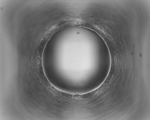 X0000059081447200510101130