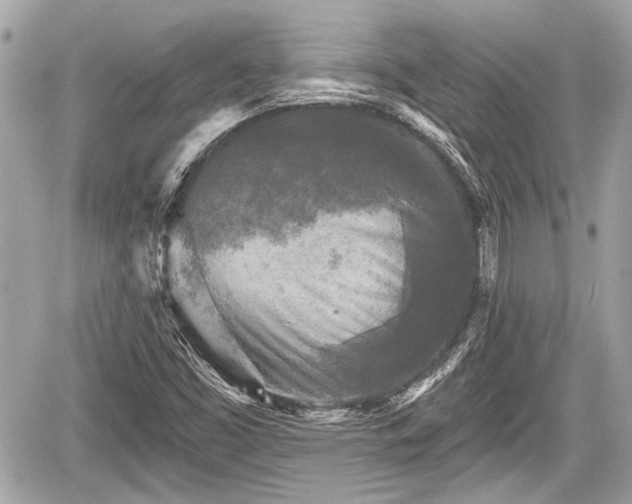 X0000059081453200510101130